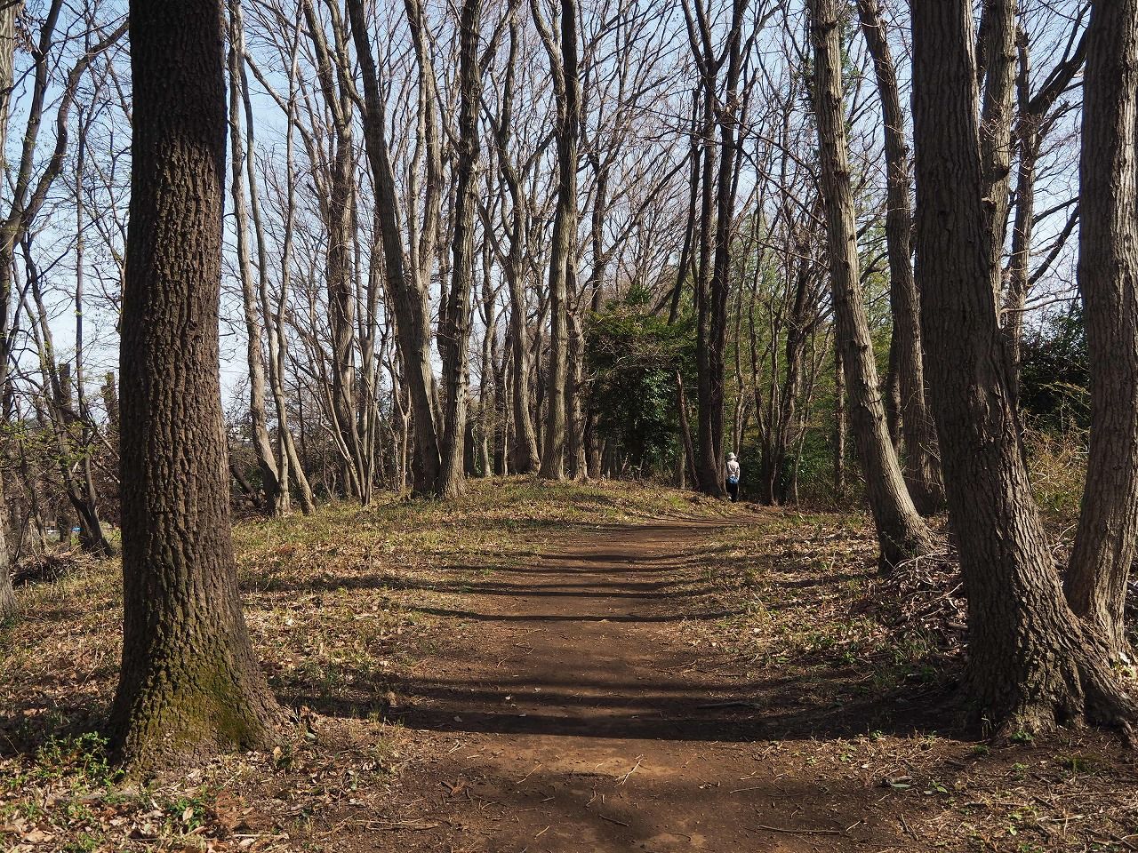本町田遺跡公園散策