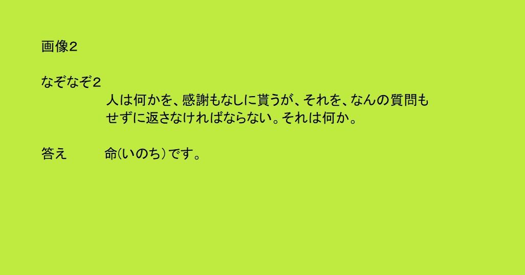 Zuiso 随想 想いをつづる 想いがひろがる