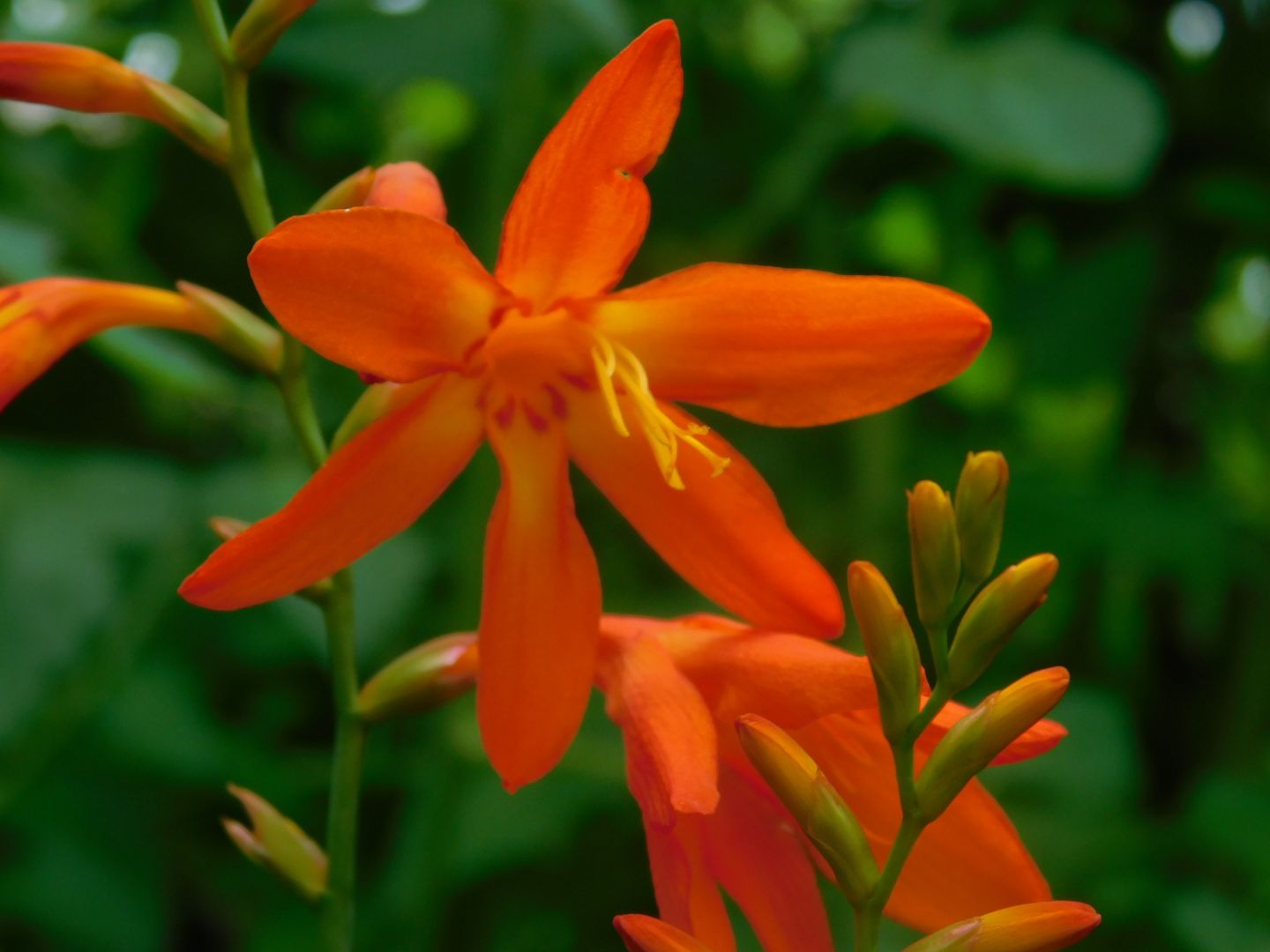 Zuiso 随想 想いをつづる 想いがひろがる