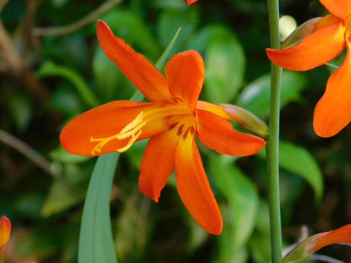 Zuiso 随想 想いをつづる 想いがひろがる