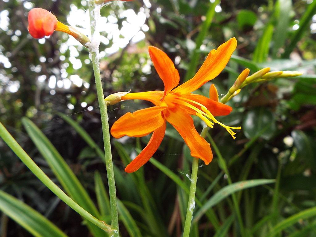 Zuiso 随想 想いをつづる 想いがひろがる