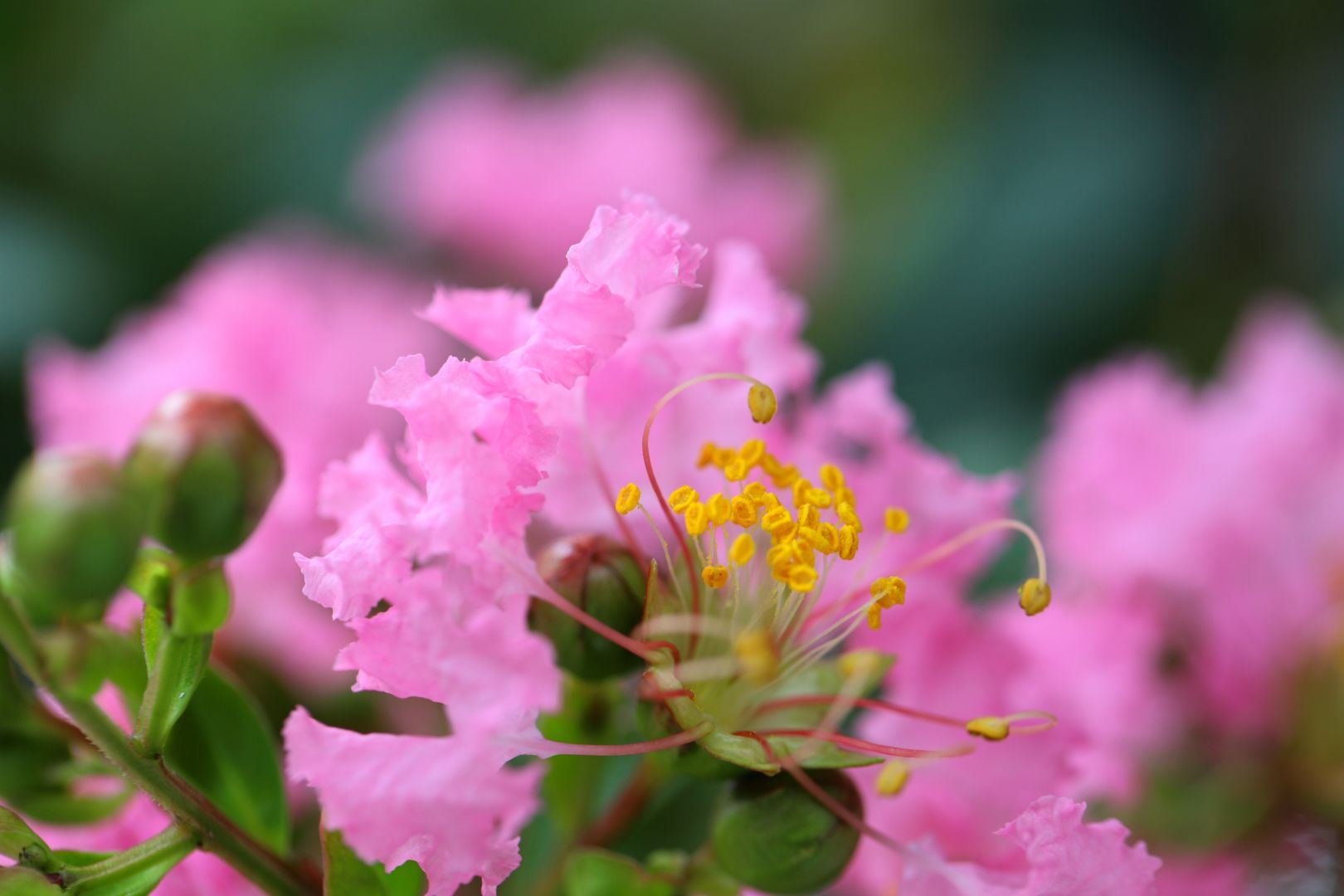 Zuiso 随想 想いをつづる 想いがひろがる