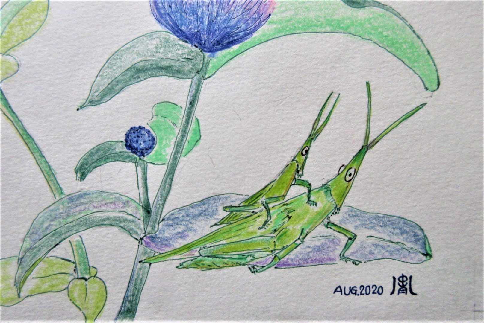 Zuiso 随想 想いをつづる 想いがひろがる