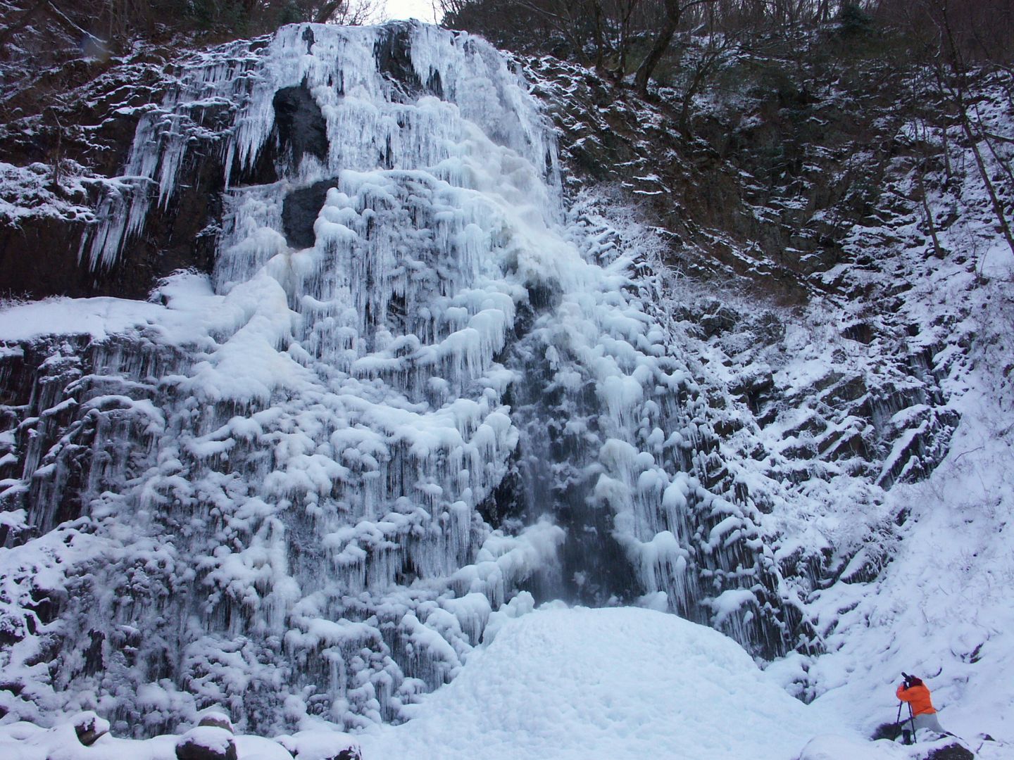 回顧写真/氷瀑 白猪の滝（東温市河之内）