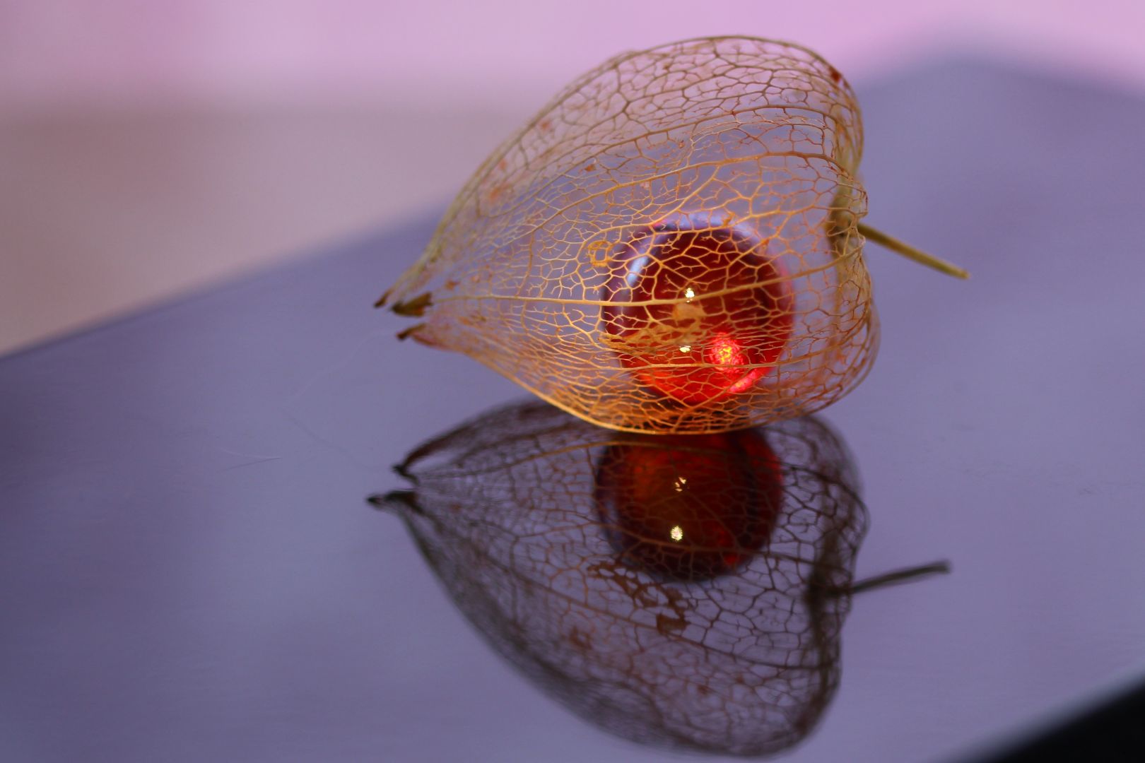 Zuiso 随想 想いをつづる 想いがひろがる