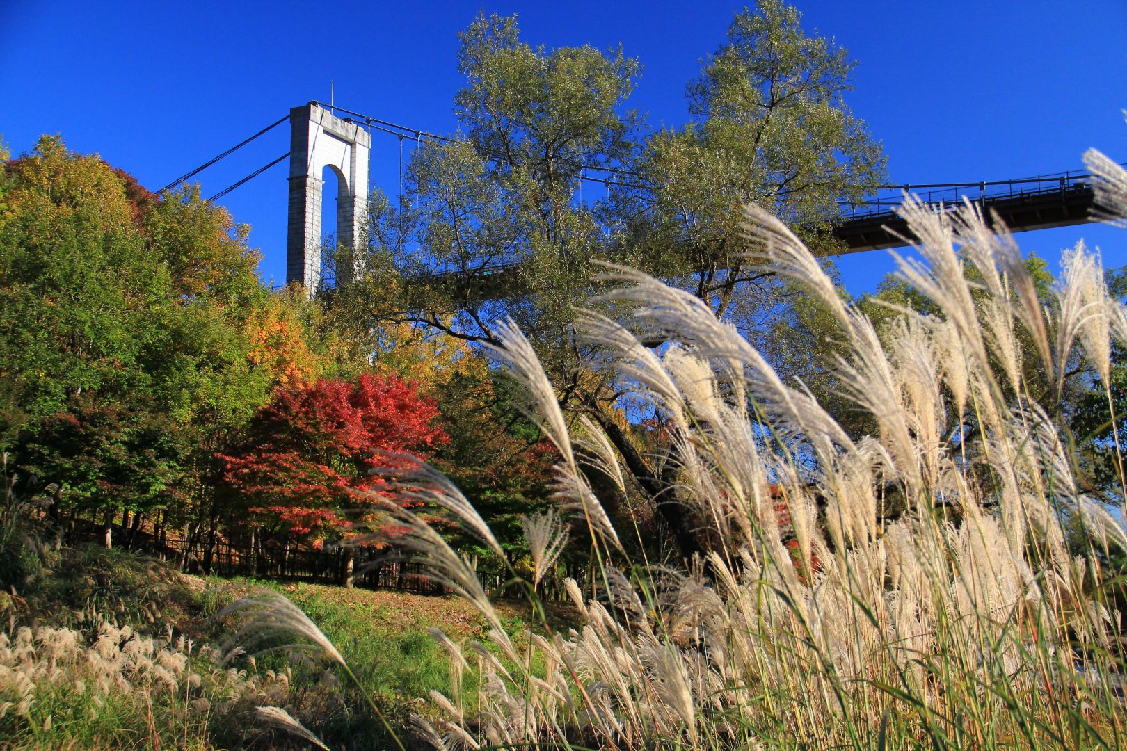 Zuiso 随想 想いをつづる 想いがひろがる
