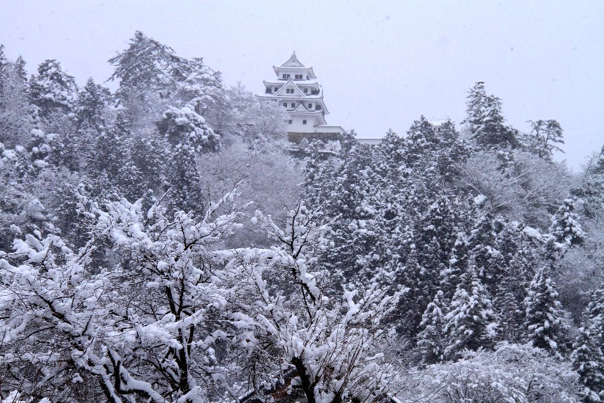 Zuiso 随想 想いをつづる 想いがひろがる