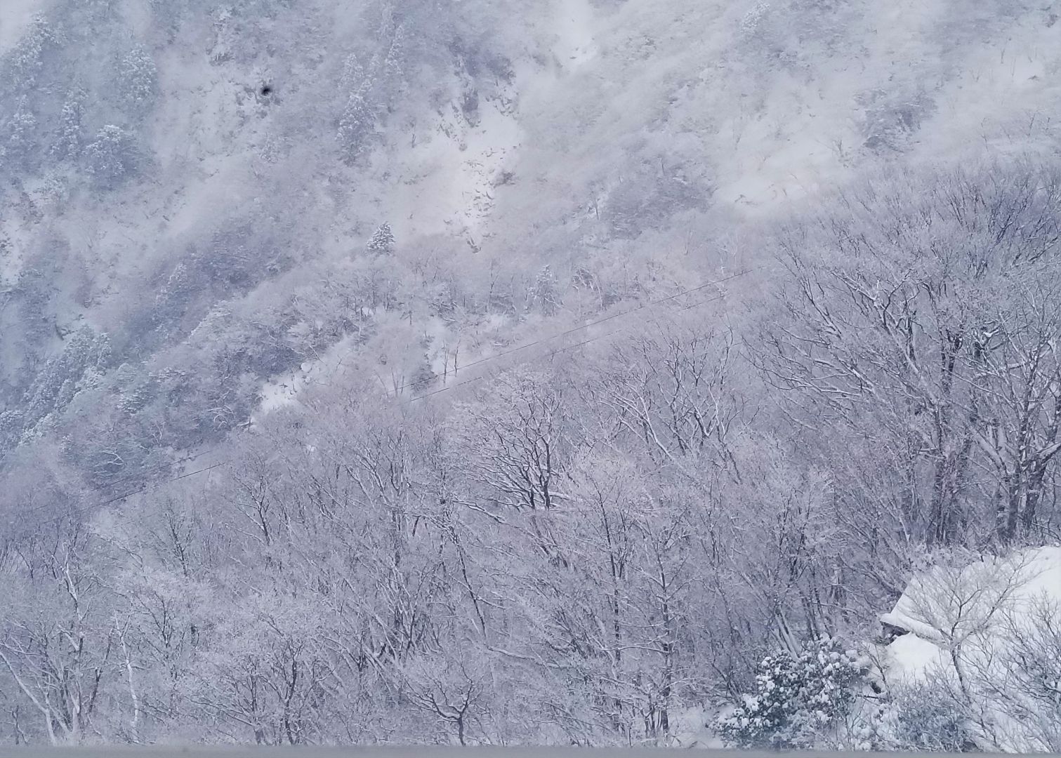 Zuiso 随想 想いをつづる 想いがひろがる