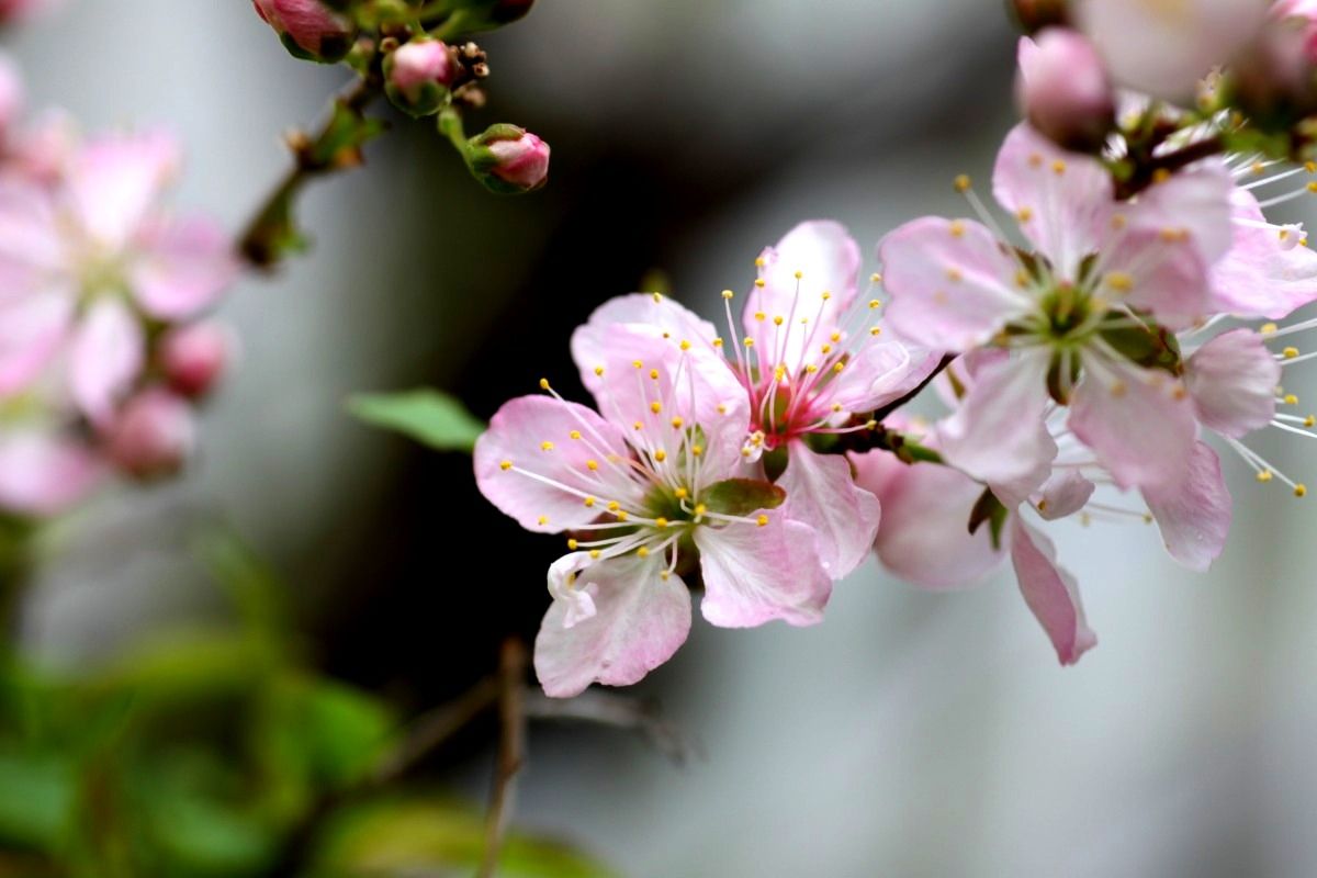 Zuiso 随想 想いをつづる 想いがひろがる