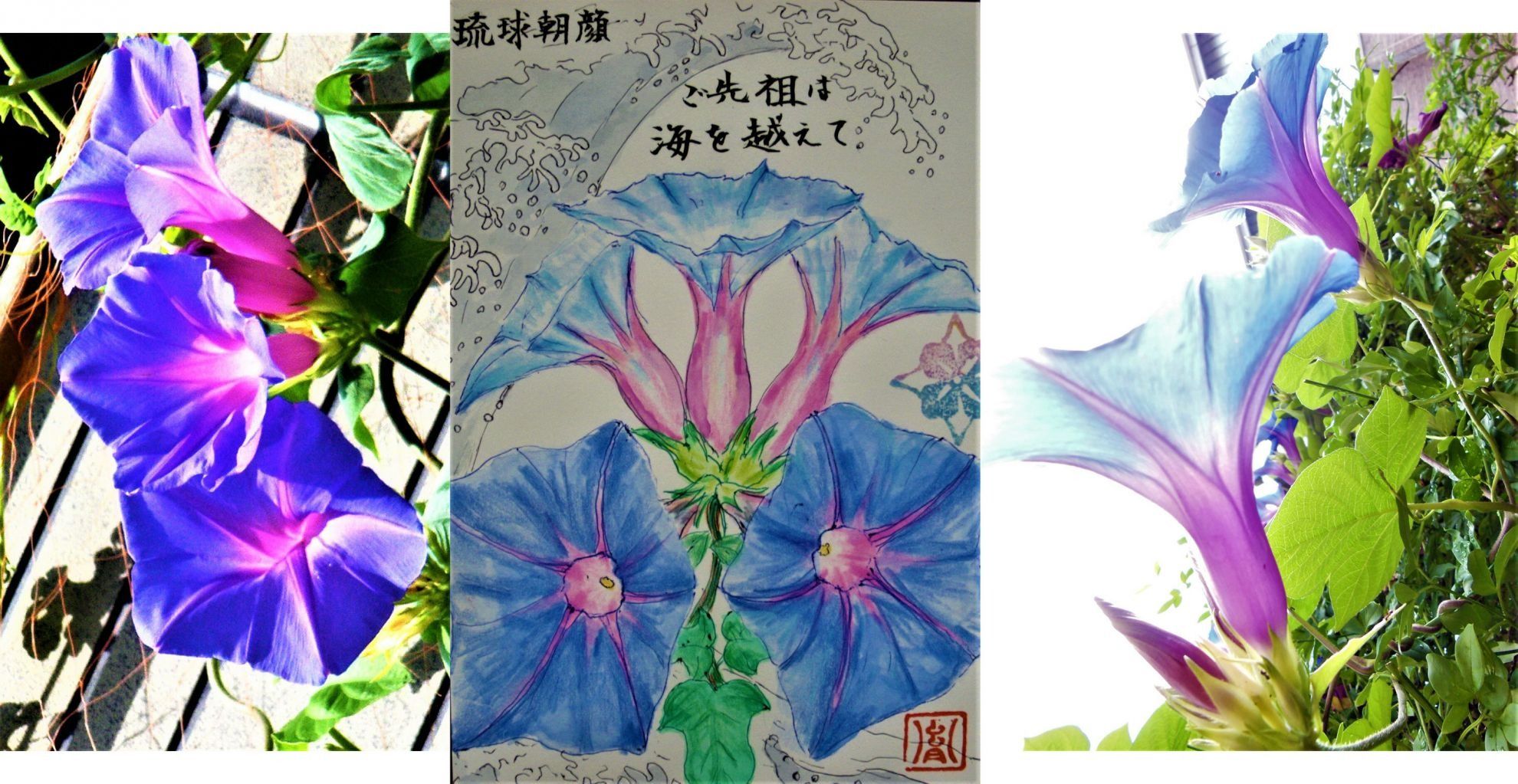 Zuiso 随想 想いをつづる 想いがひろがる