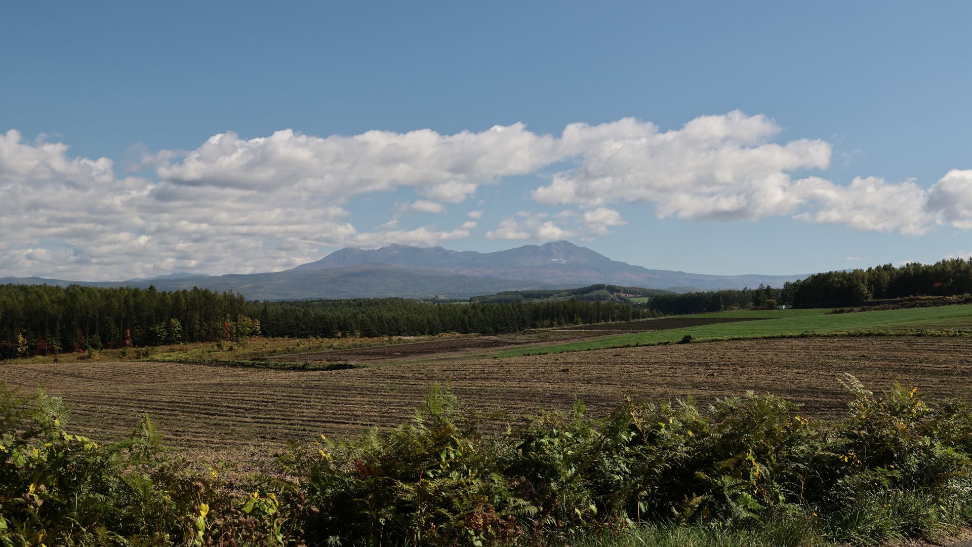就実の丘付近にて