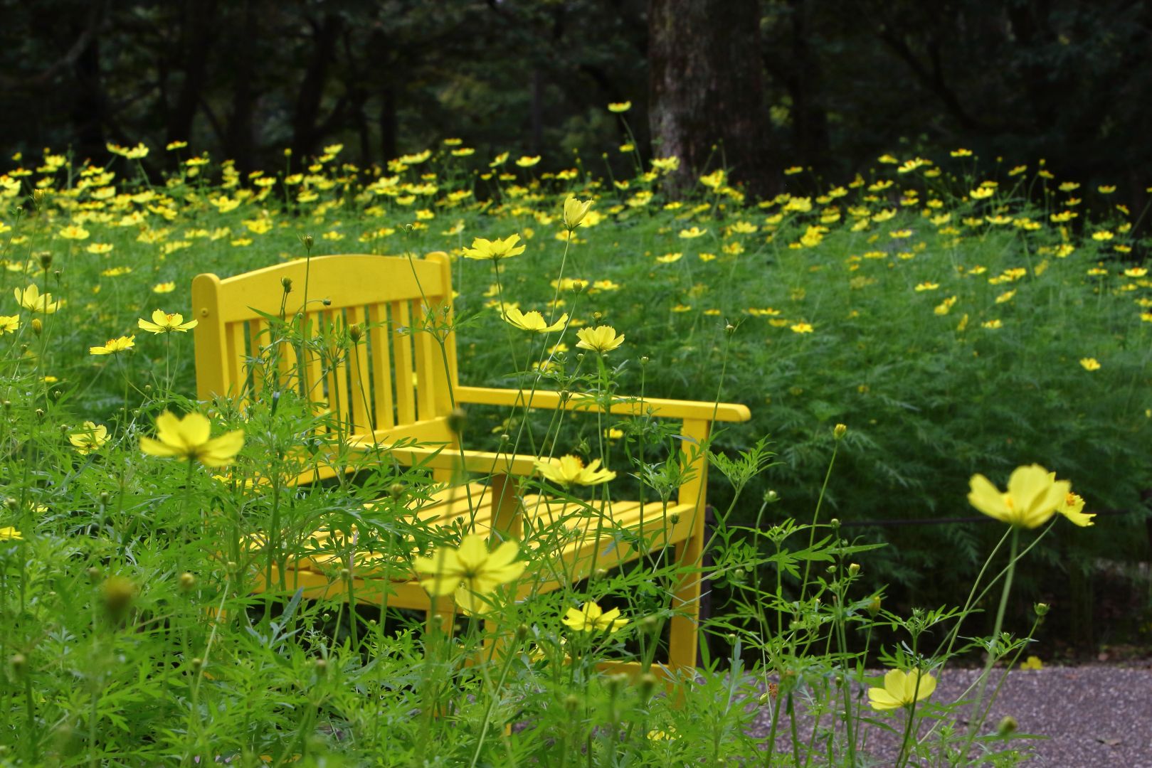 Zuiso 随想 想いをつづる 想いがひろがる