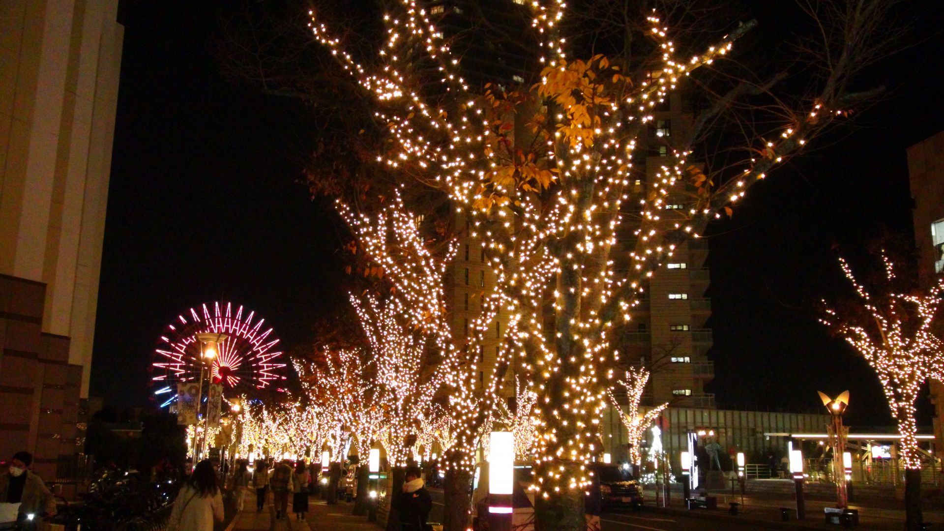 Zuiso 随想 想いをつづる 想いがひろがる