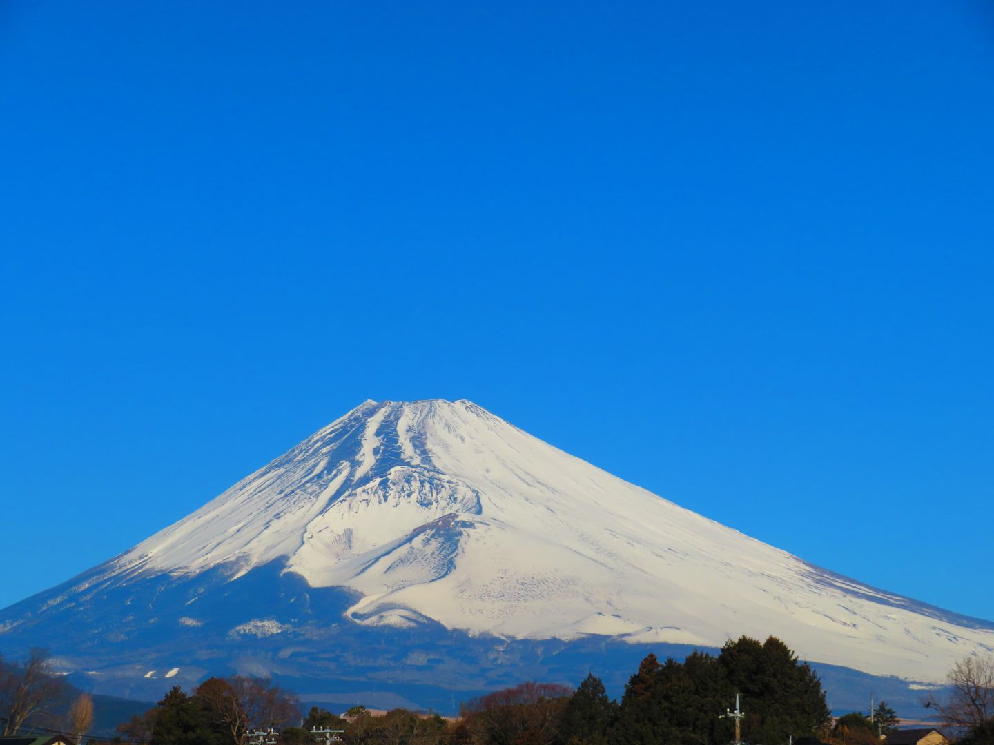 裾野市ウオキング