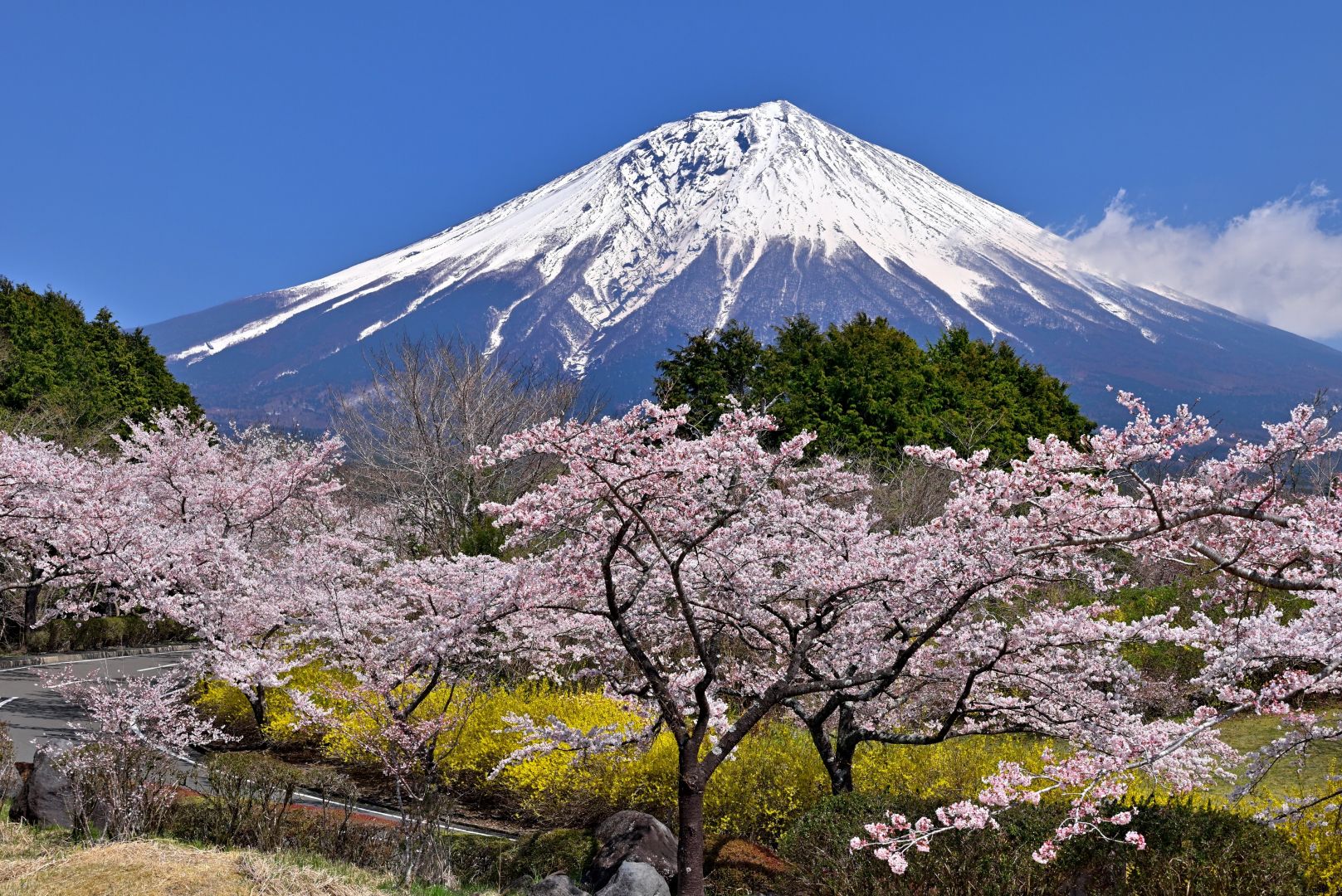 富士桜自然墓地公園