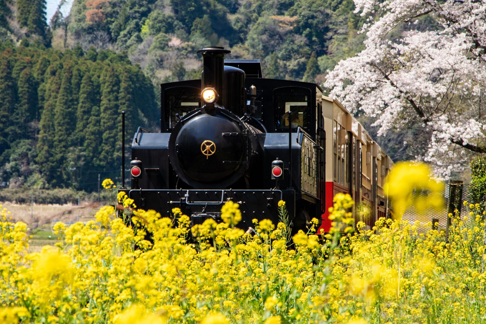 小湊鉄道沿線 1/2