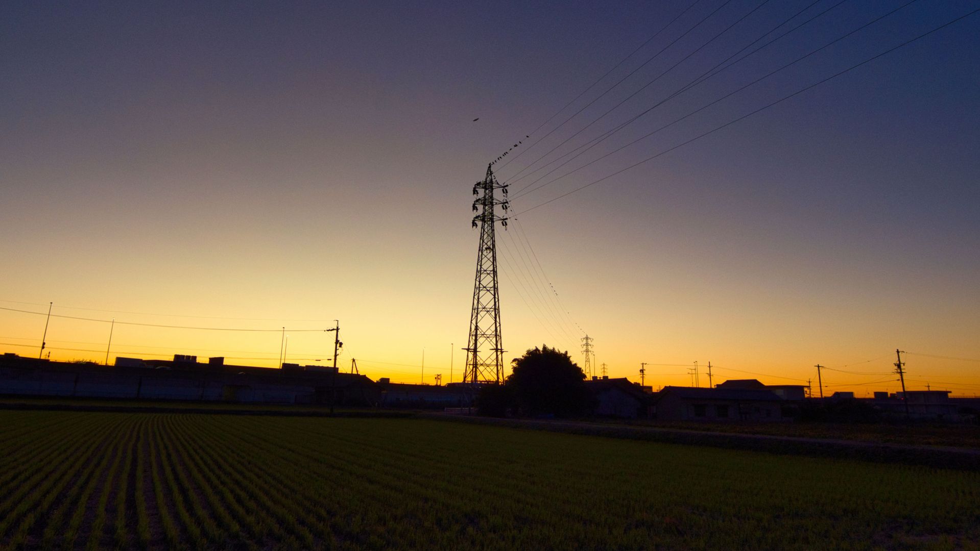 日々の散歩ー陰影