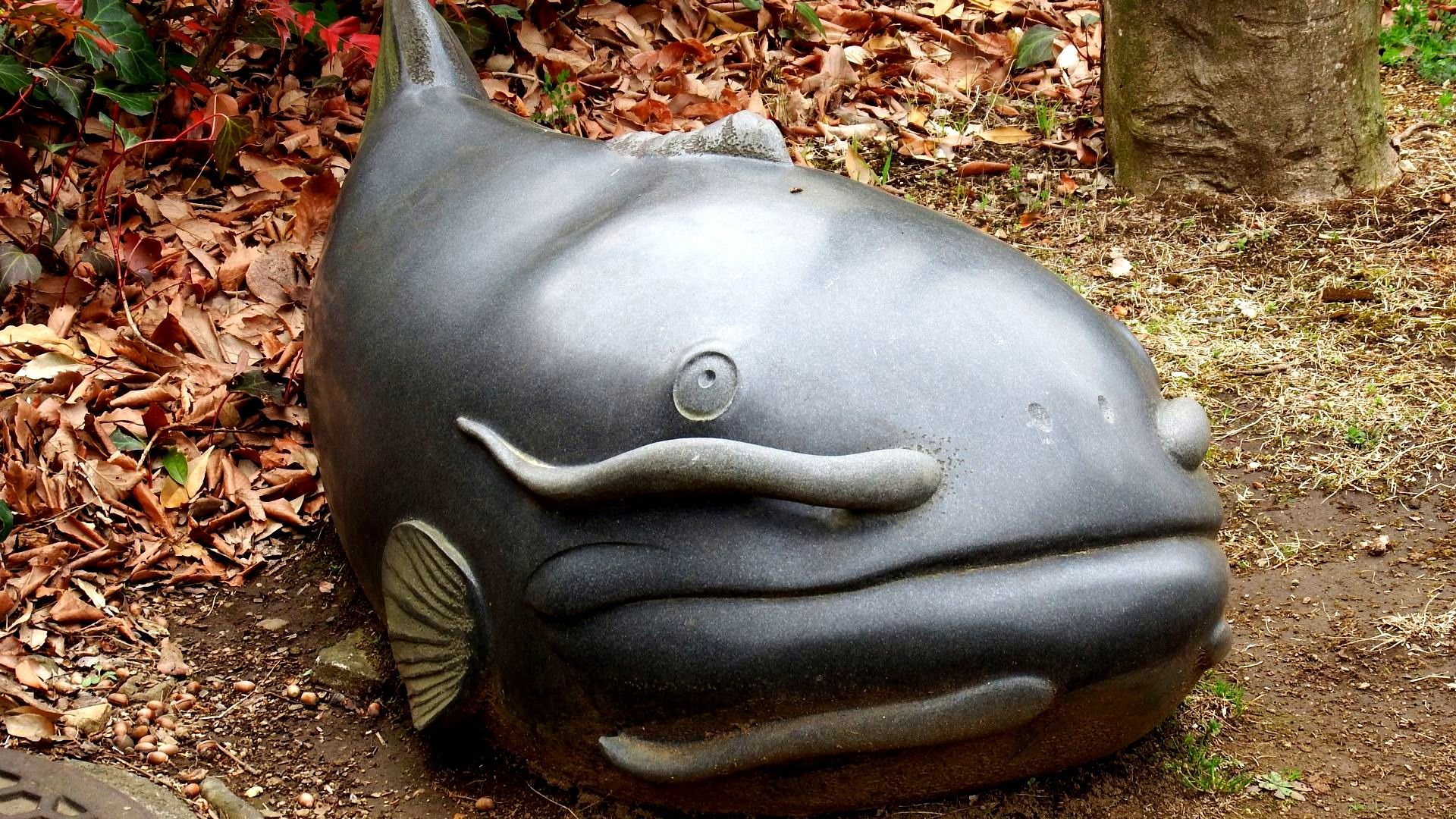 宏(こうかん)観異常現象