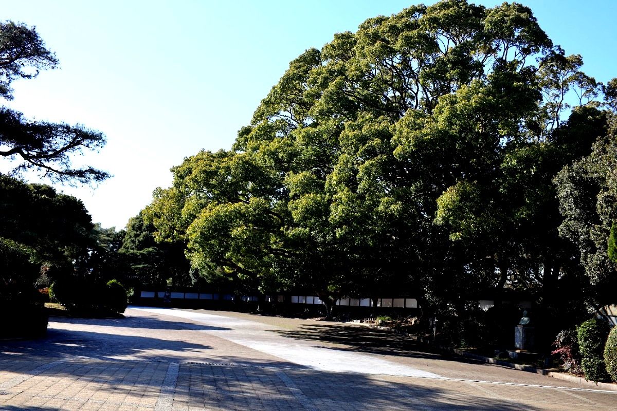 須磨離宮公園の風景を写して歩いてみました