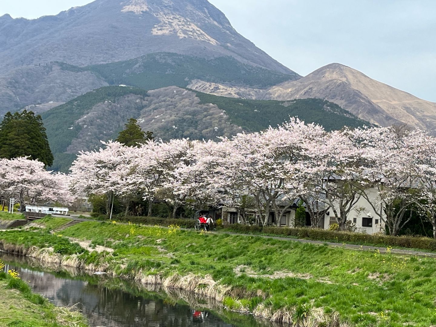 大分県 由布岳1583mへ登山