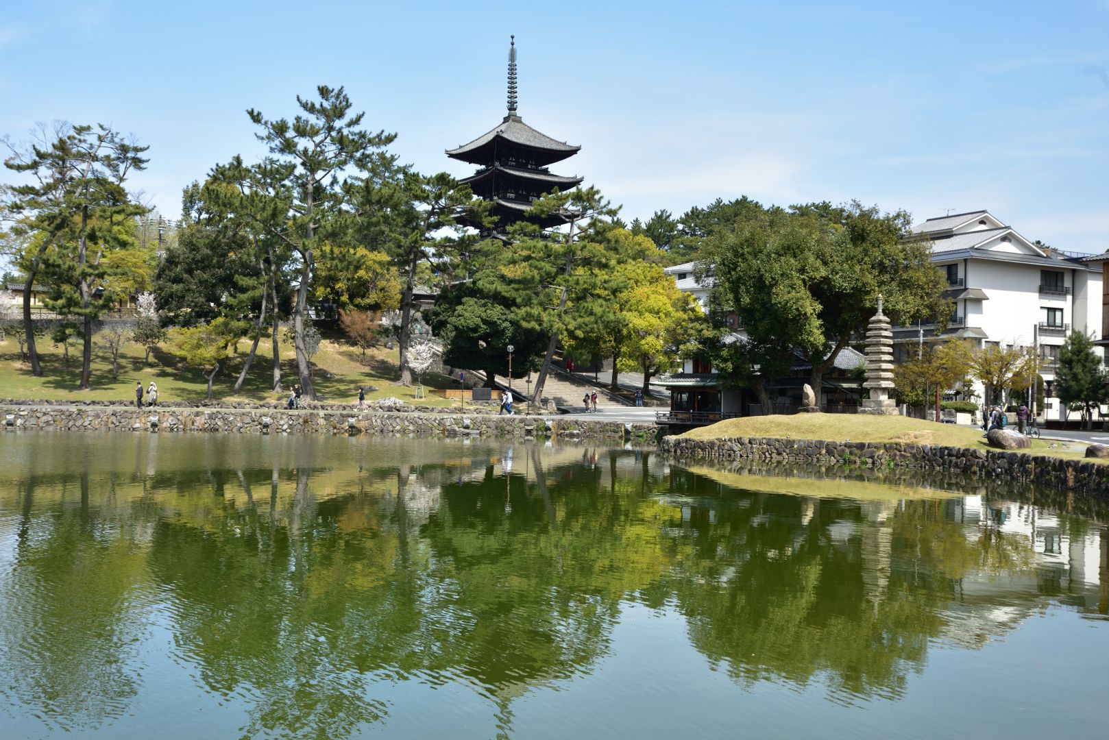 奈良公園