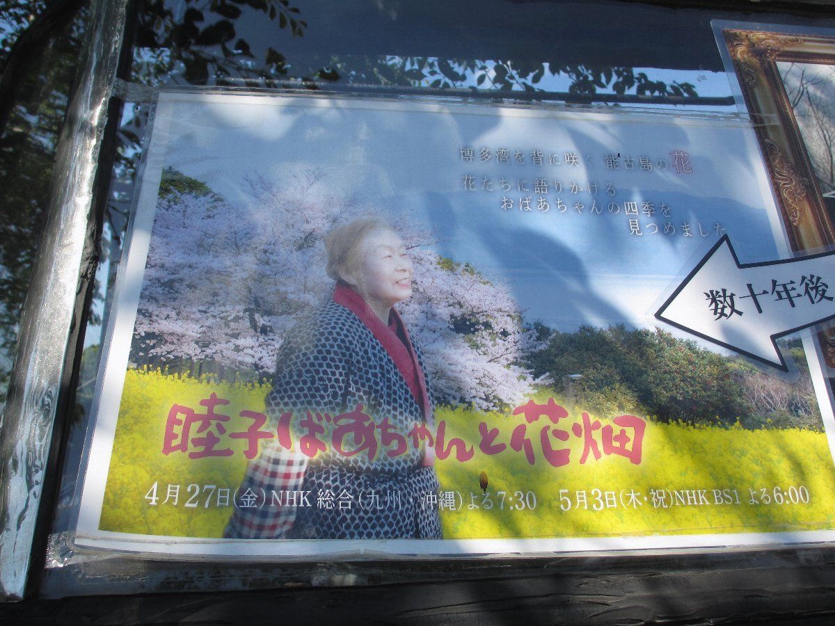 のこの島 アイランドパーク