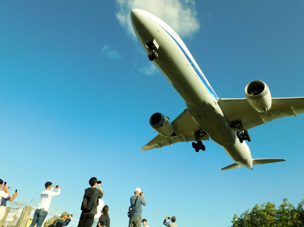 秋の伊丹空港
