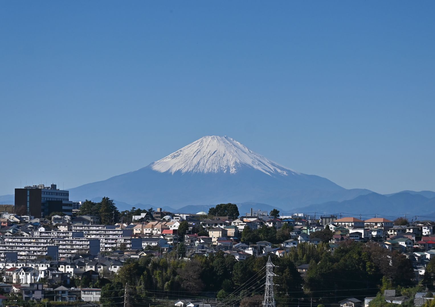 初冬の 俣野別邸公園