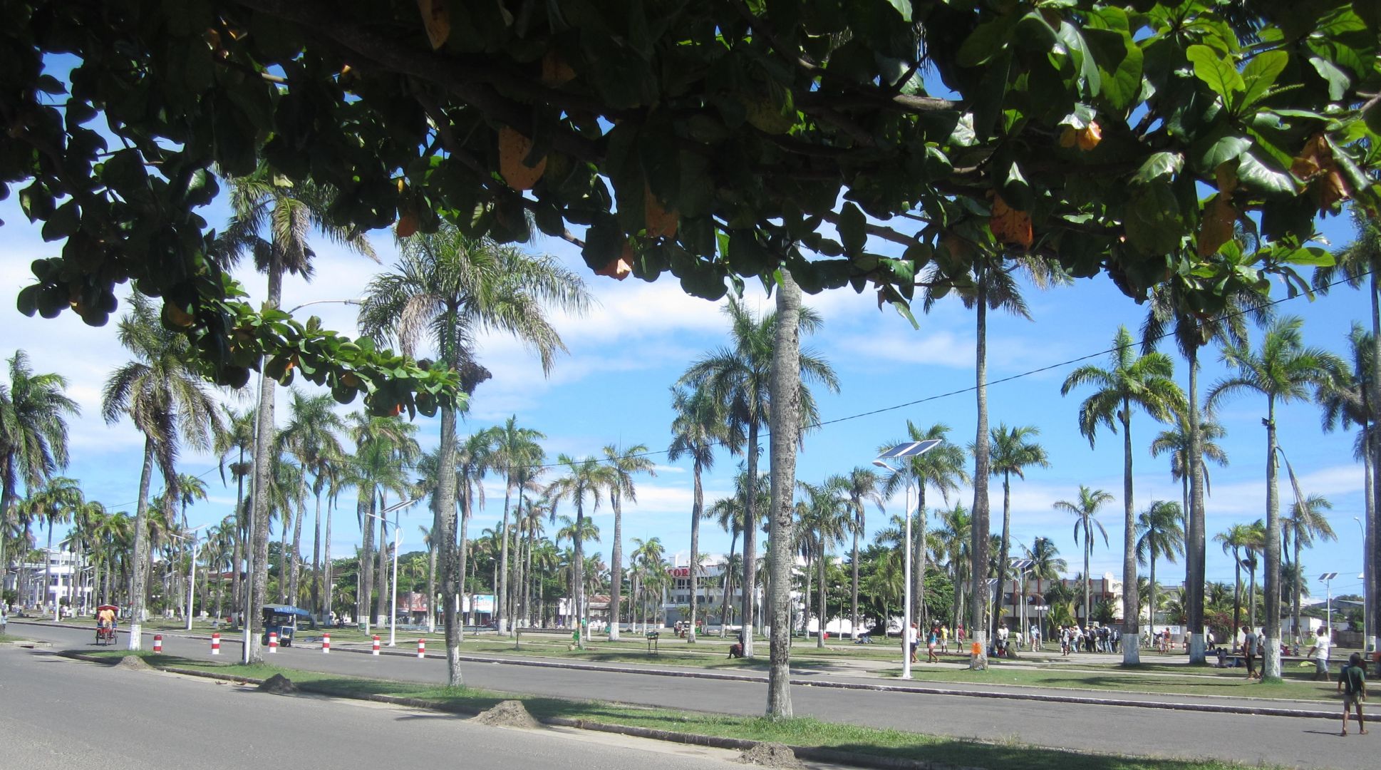 マダカスカル・トゥアマシナ Ⅱ