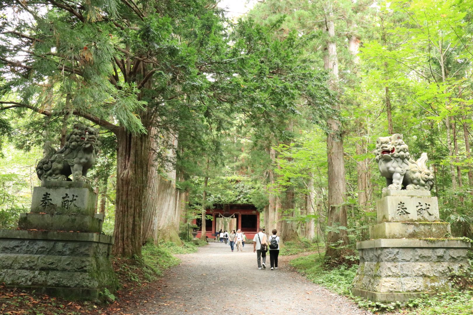 戸隠神社 奥社・九頭龍社編-1