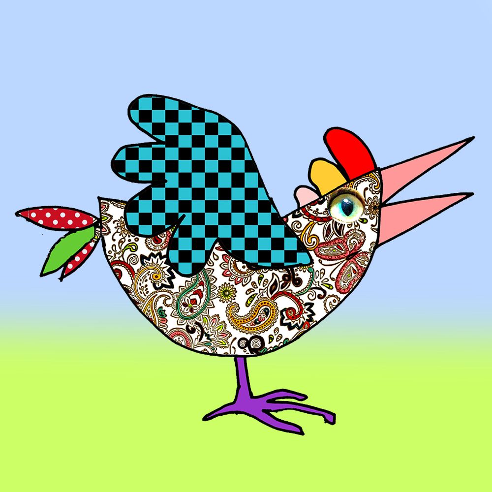 20250306-colobockle