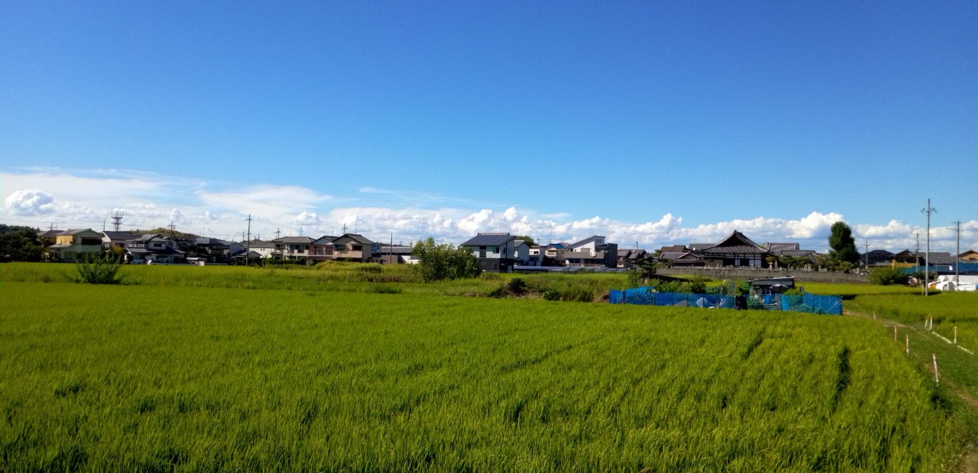青空 残暑が身に応えます