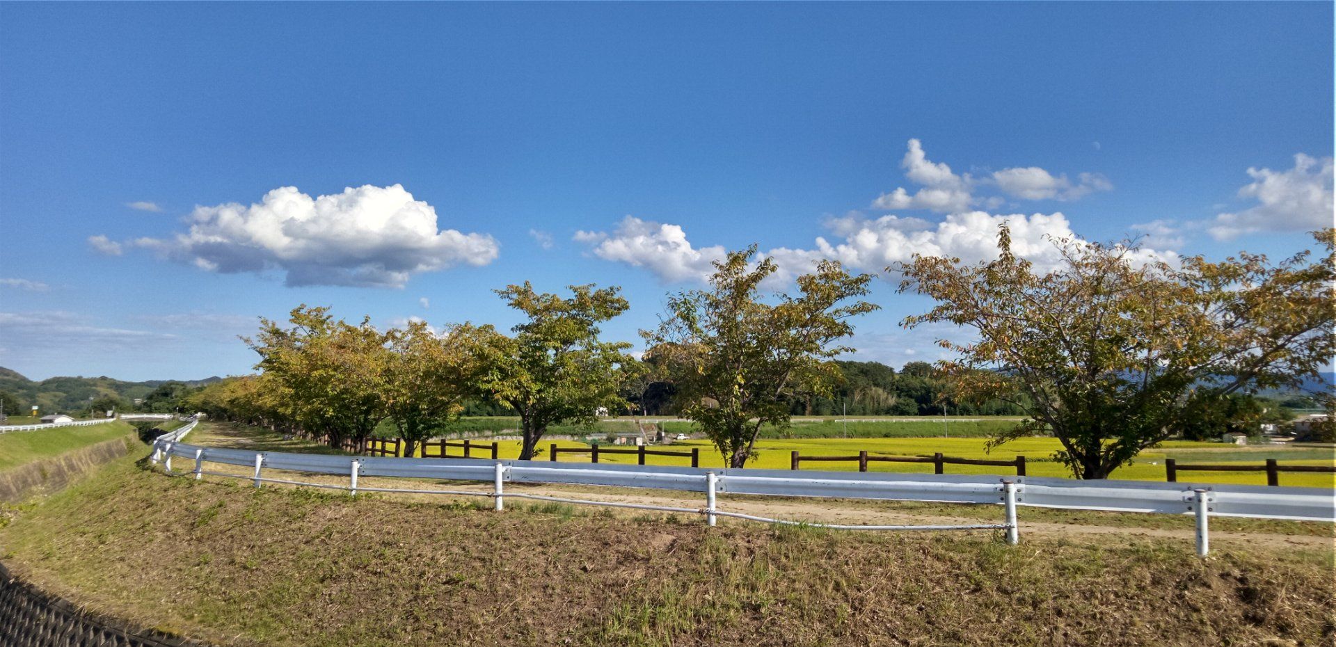 秋に向かい 日々移り行く里の景色