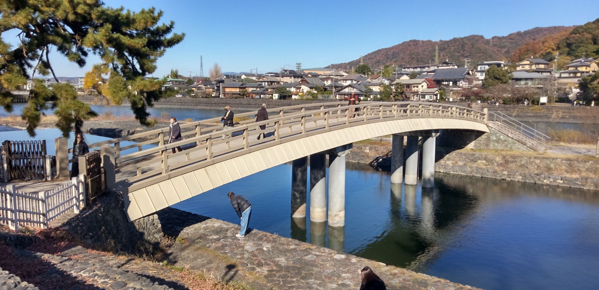 中の島に架かる橘橋とあじろぎの道