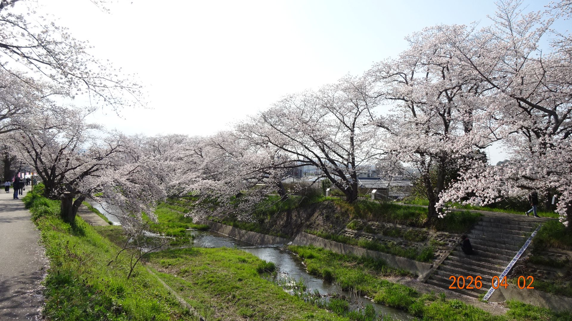 井手町の玉川は日本六玉川の1つ