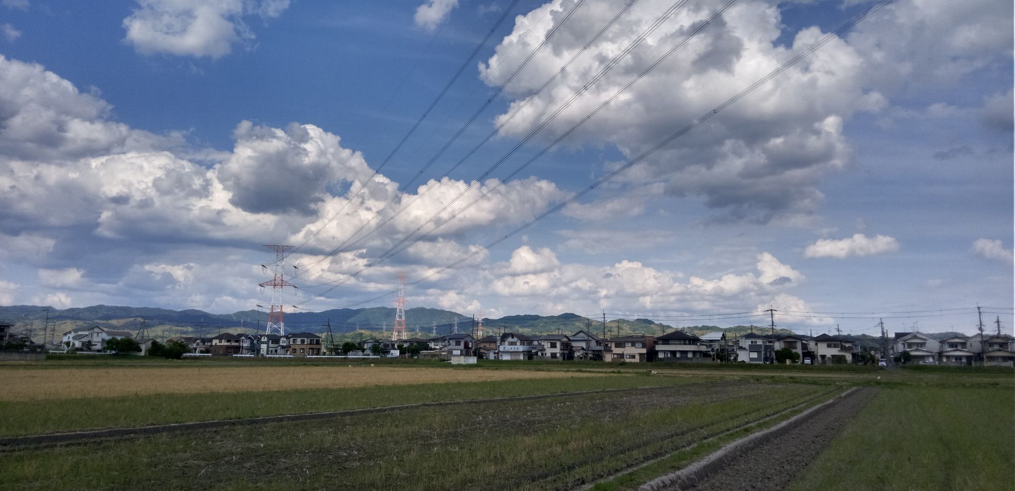 随分と温度が上がりました