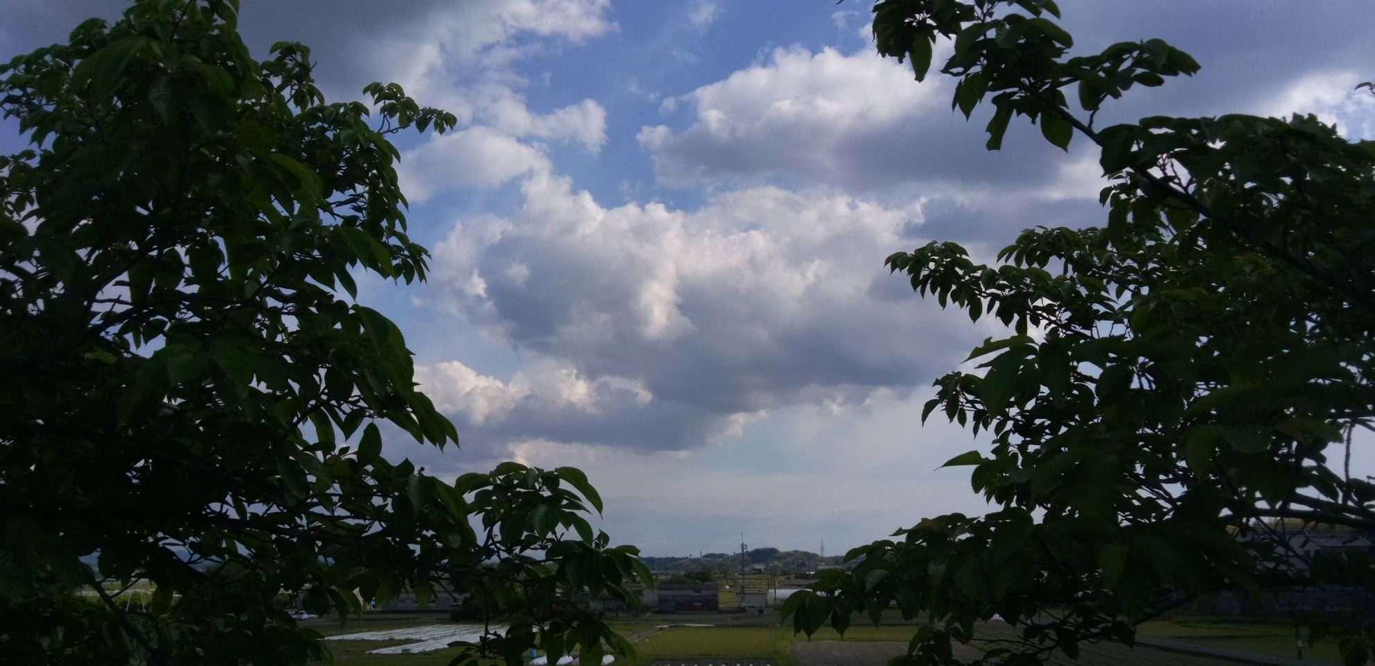 随分と温度が上がりました