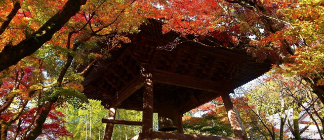 修禅寺境内